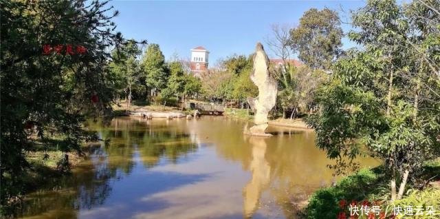 云南寻甸今晚还会地震