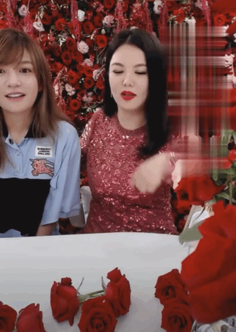 t01dec8caf10d48c547.gif?size=341x480