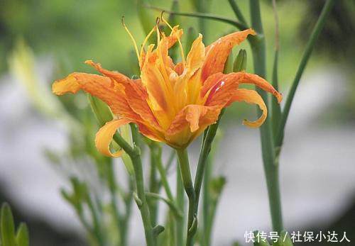 企业应当做的事