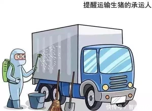 非洲非洲猪瘟疫情现状