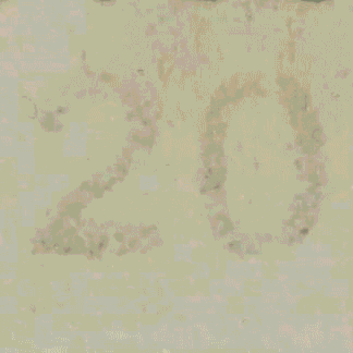 t01f06e443ea0c2d45f.gif?size=324x324