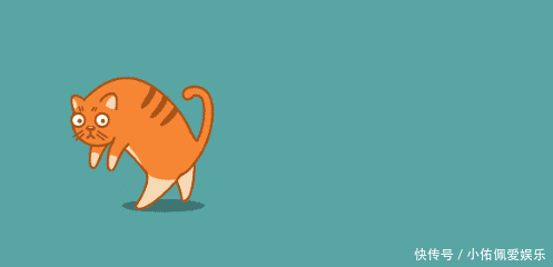 兔子有什么兔子