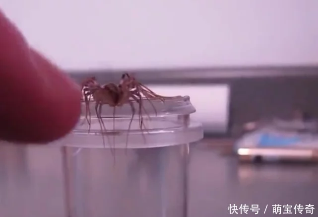 登錄查看大圖