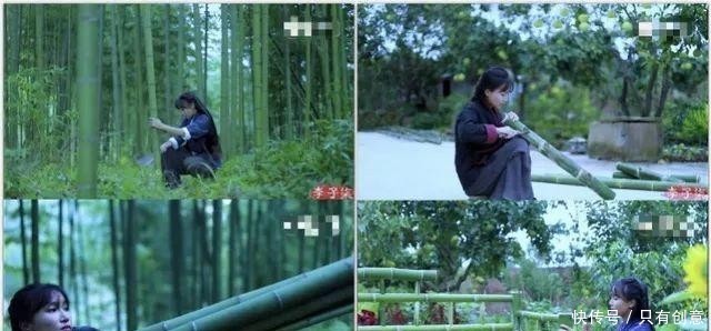 李子柒是文化吗