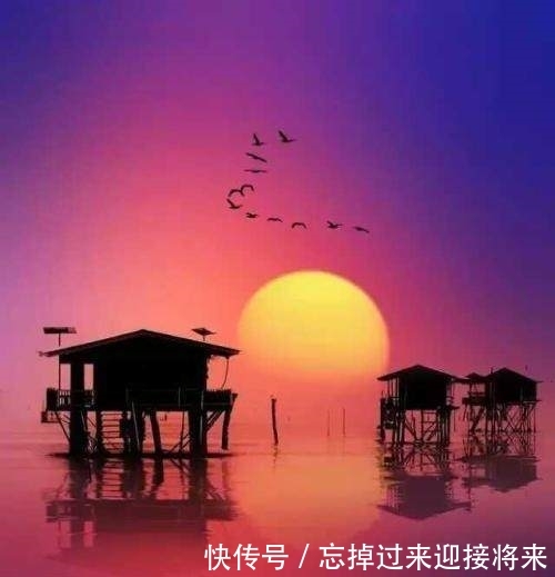 t01f99e554298ceac3a.jpg?size=500x519