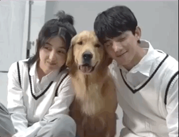 t01fce9940fa50d6ea0.gif?size=360x276